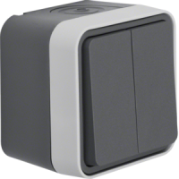 Perjungiklis v/t dvigubas mygtukinis IP55 pilkos matinės spalvos 10A 250V W.1 - BERKER