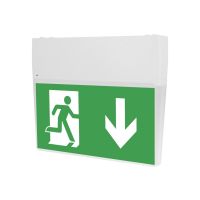 Šviestuvas v/t LED 1W IP44 6500K evakuacinis su 1val. akumuliatoriumi NM Zonda 1HLED C348 OP - NORTHCLIFFE