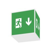 Šviestuvas v/t LED 3W IP41 6500K evakuacinis su 1val. akumuliatoriumi M/NM Season 1PLED C343 OP - NORTHCLIFFE