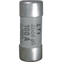 Saugiklis 100A 22x58mm gG 690V AC CH22 cilindrinis - ETI