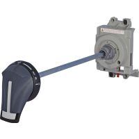 Rankena automatui išorinė RO2 250P - ETI