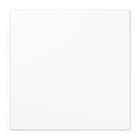 Dangtelis aklinas LS - JUNG