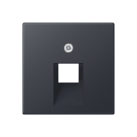 Dangtelis viengubas UAE lizdui antracito matinės spalvos A - JUNG