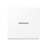 Klavišas su langeliu indikacijai baltos matinės spalvos A - JUNG