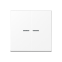 Klavišas dvigubam jungikliui su langeliu indikacijai baltos matinės spalvos A - JUNG