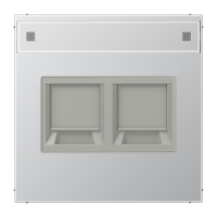 Dangtelis dvigubas moduliniam lizdui su užuolaidėle ir markiravimo vieta aliuminio spalvos LS - JUNG