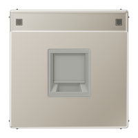 Dangtelis moduliniam lizdui su užuolaidėle ir markiravimo vieta nerūdijančio plieno spalvos LS - JUNG