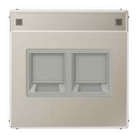 Dangtelis dvigubas moduliniam lizdui su užuolaidėle ir markiravimo vieta nerūdijančio plieno spalvos LS - JUNG