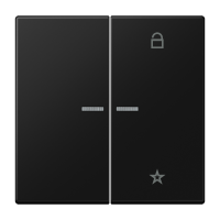 Klavišas dvigubam jungikliui žaliuzių/šviesos valdymui su atmintimi juodas matinis LS - JUNG