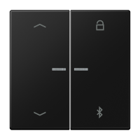 Klavišas dvigubam jungikliui žaliuzių/šviesos valdymui su bluetooth ir atmintimi juodas matinis LS - JUNG