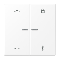 Klavišas dvigubam jungikliui žaliuzių/šviesos valdymui su bluetooth ir atmintimi baltos matinės spalvos LS - JUNG