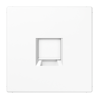 Dangtelis lizdui AMP RJ45 su užuolaidėle baltos spalvos LS - JUNG