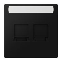 Dangtelis dvigubas moduliniam lizdui su užuolaidėle ir markiravimo vieta juodas matinis LS - JUNG