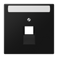 Dangtelis moduliniam lizdui su markiravimo vieta juodas matinis LS - JUNG