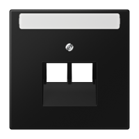 Dangtelis dvigubas moduliniam lizdui su markiravimo vieta juodas matinis LS - JUNG