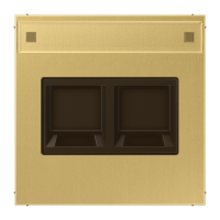 Dangtelis dvigubas moduliniam lizdui su užuolaidėle ir markiravimo vieta žalvario spalvos LS - JUNG