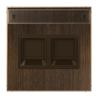 Dangtelis dvigubas moduliniam lizdui su užuolaidėle ir markiravimo vieta sendinto žalvario spalvos LS - JUNG