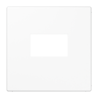 Dangtelis baltas USB CA lizdui LS - JUNG