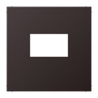 Dangtelis USB CA lizdui LS - JUNG