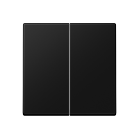 Klavišas dvigubam jungikliui juodos matinės spalvos A - JUNG