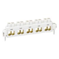 Gnybtas 5P 10mm2 Abox 100 - SPELSBERG