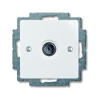 Lizdas p/t dramblio kaulo spalvos TV viengubas 5000Hz/860000Hz 1743-01-94-507 su apdaila BASIC 55 - ABB