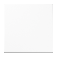 Klavišas viengubam jungikliui baltas LS - JUNG