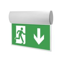 Šviestuvas v/t LED 1W IP41 6500K evakuacinis su 1val. akumuliatoriumi M/NM Taurus 1PLED G08 Deluxe - NORTHCLIFFE