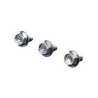 Varžtas savisriegis M5x10mm [pak. po 500 vnt.] - RITTAL