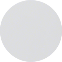 Klavišas viengubam jungikliui Baltas blizgus R.1 - BERKER