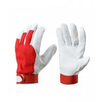 Pirštinės minkštos, ožkos odos su VELCRO užsegimu 11 dydis [pora] - SG LINE