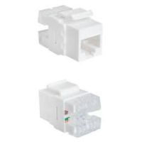Lizdas kat.6 UTP RJ45 Keystone - SECURITYNET