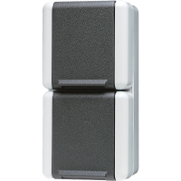 Lizdas v/t dvigubas IP44 pilkas vertikalus 16A 250V - JUNG