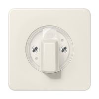 Dangtelis pasukamas garso reguliavimui dramblio kaulo spalvos CD - JUNG