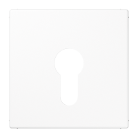 Dangtelis su spyna baltas LS - JUNG