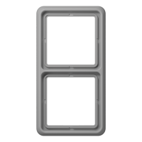 Rėmelis dvigubas pilkas CD - JUNG