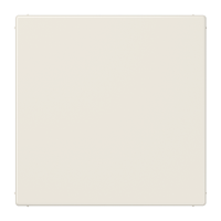 Dangtelis aklinas LS - JUNG