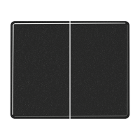 Klavišas dvigubam jungikliui juodas SL - JUNG