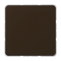 Dangtelis aklinas rudas CD - JUNG