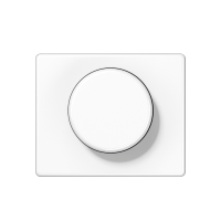 Dangtelis šviesos reguliatoriui baltas SL - JUNG