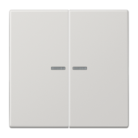 Klavišas dvigubas jungikliui su apšvietimu šviesiai pilkas LS - JUNG