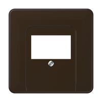 Dangtelis TAE/USB lizdui rudas CD - JUNG