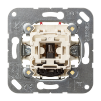 Jungiklis 2 polių su apšvietimu 10A 250V - JUNG