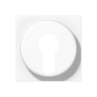 Dangtelis spynai baltas A - JUNG