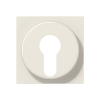 Dangtelis spynai dramblio kaulo spalvos A - JUNG