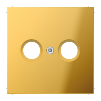 Dangtelis TV lizdui aukso spalvos LS - JUNG