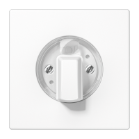 Klavišas jungikliui žaliuzių baltas skirta 234.10 LS - JUNG