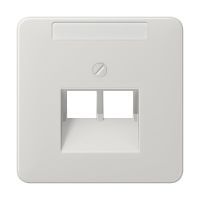 Dangtelis dvigubas RJ45 AMP šviesiai pilkas CD - JUNG