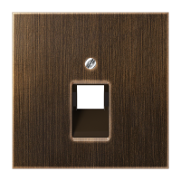 Dangtelis viengubas UAE lizdui sendinto žalvario spalvos LS - JUNG