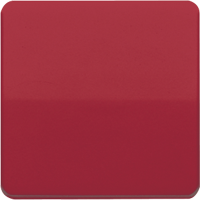 Klavišas viengubam jungikliui raudonas CD - JUNG